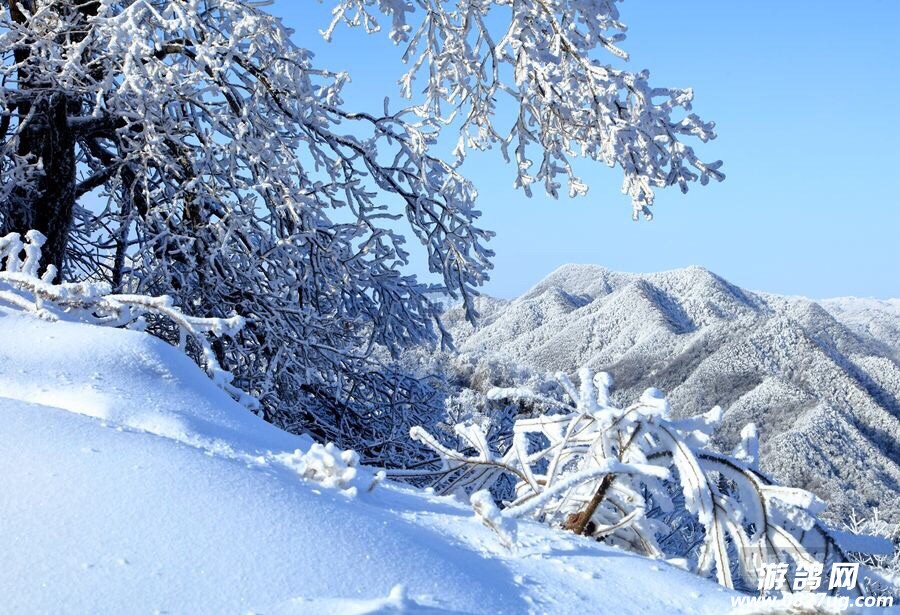 在雪景的衬托下,光雾山显得格外漂亮!真是难得一见