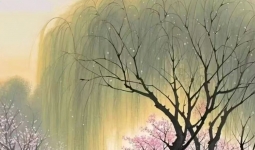 ʦ���̹����ǣ����������˺����˵����顭��