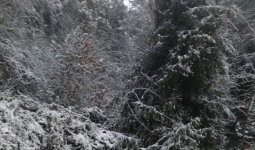 ��һ��ϣ��ѡ���ܴ���ũ������ģ��ܸ�ũ���ʵ�´�ɲ���