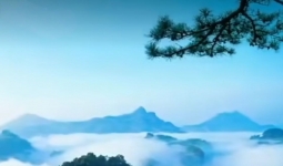 欲望太多