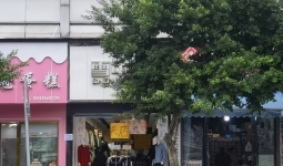 ƽٽֱ