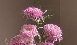 Ϊʲô�ܶ��˶��������Լ���һ����