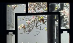 �����˻��������ϣ�������ʲô���飬��һ����������ºܶ����ء�