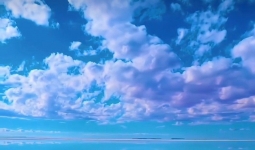 言多必失