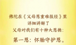 ��ǰ������ں��Լ�