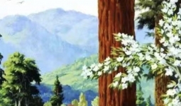 ���˷���Ҫ��һ�����������ĵ�·����ͻᡭ��