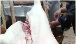 ��ϯ�ֿ�����