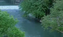 人生没有什么破产