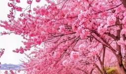 ������Խǫ�飬��ѧ���Ķ�����Խ�ࡣ