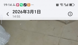 �߼ۻ��ն����ֻ��������ֻ�