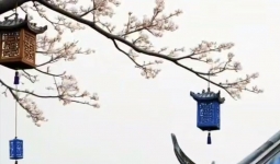 ˺ɫŮ˺ɫ