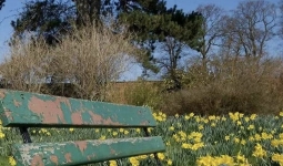 ��ס����ûǮ��ʱ�򣬽�������ĵ��ƣ�