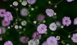 ˵ļŻᴴ漣һ˵ĸıʵϴԼʼ