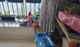 �����ġ�ɱ��ȡ�ѡ�����ȡ��