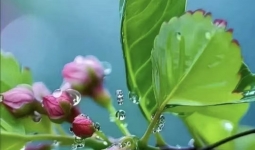 ��һ�ߵ��ͻ����鷳��������������֮��