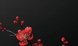 Ҳо