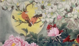 Ҫƽ�������ܺ�ʲô�ദ����Ҫ���²���