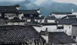 ʦ����Ц��