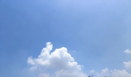 һʵ塣