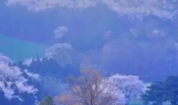 ��ʵ������ë�����ǲ���ʶ�Լ�����������ѧ��˵�������ĵ��˲��Ǳ��ˣ���