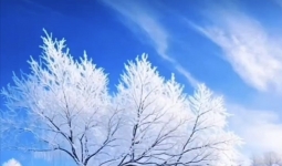 �˻���������Ҫ��ͨ����Ϊһ�ж��ڱ仯����