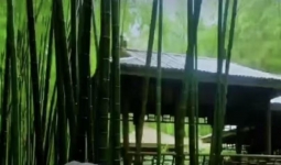 Ƕ֪ԸĸҪТ˳ҽߴңТ˳ĸĸ㼶