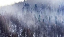 һ�����ӵĸ�ĸ�Ժ��Ӹ����ǲ���ر��ģ�ֻϣ������ƽ������