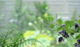 ʦ�������ʹ�����仰