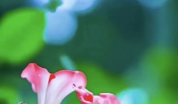 Ҫѧ��Ҫ�е��£��Լ�Ҫ����Լ��ĵ������⡣