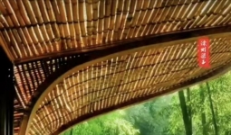 һ������û���ǻۣ���������̸֮����ܿ��ó�����