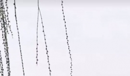 �������Լ����㡢���Լ����硭