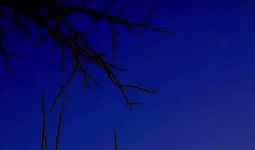 ��������һ��֮����