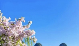 �ƴ����ǣ�������Ϊ�Լ���������