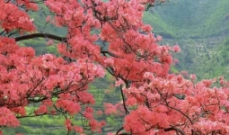 ���������û��һ����������Եõ�