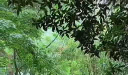 而女人喜欢男人的甜言蜜语