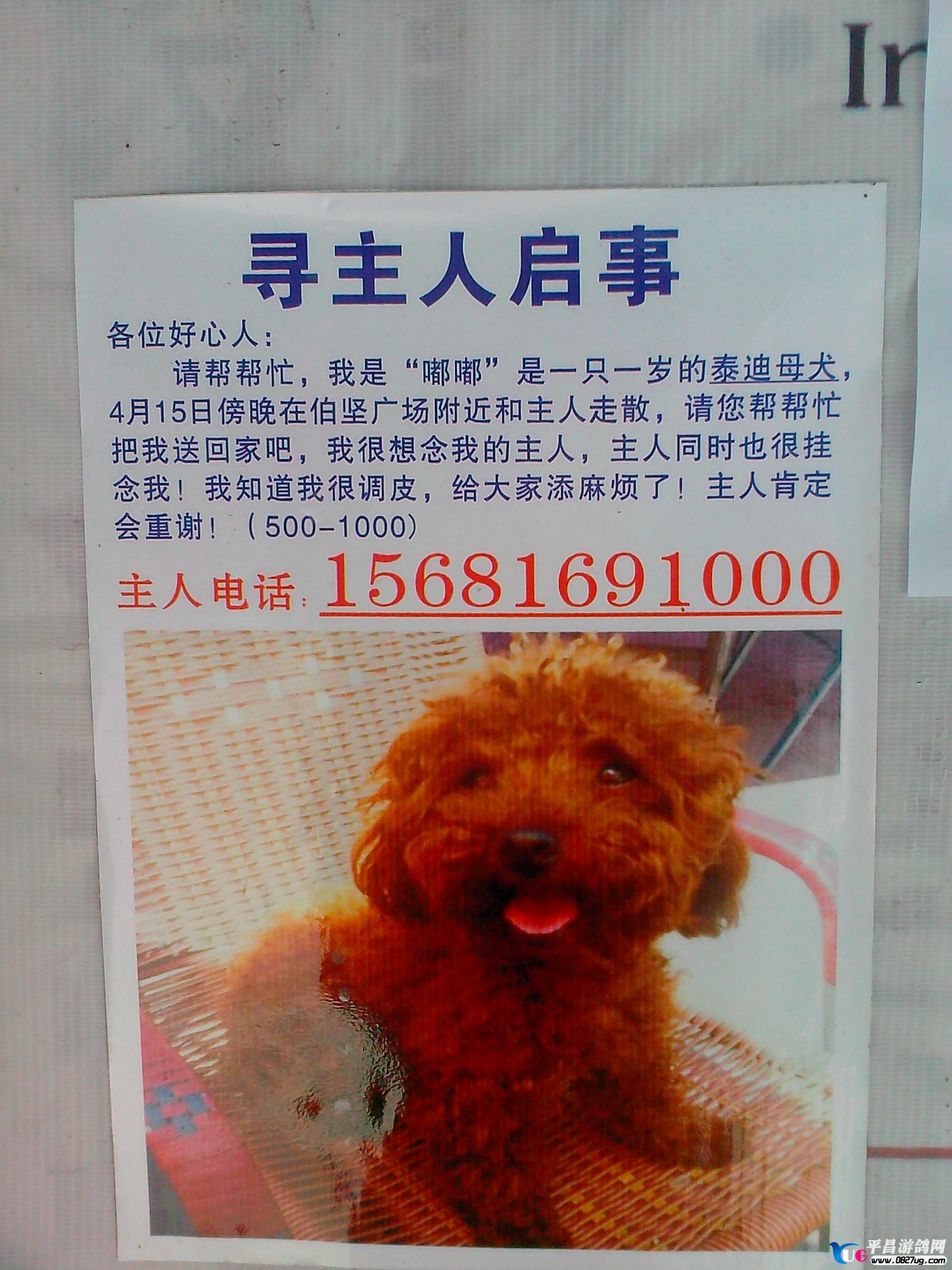 IMG20130423004.jpg