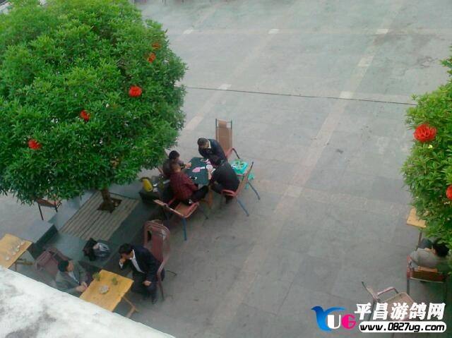 IMG20130422006.jpg