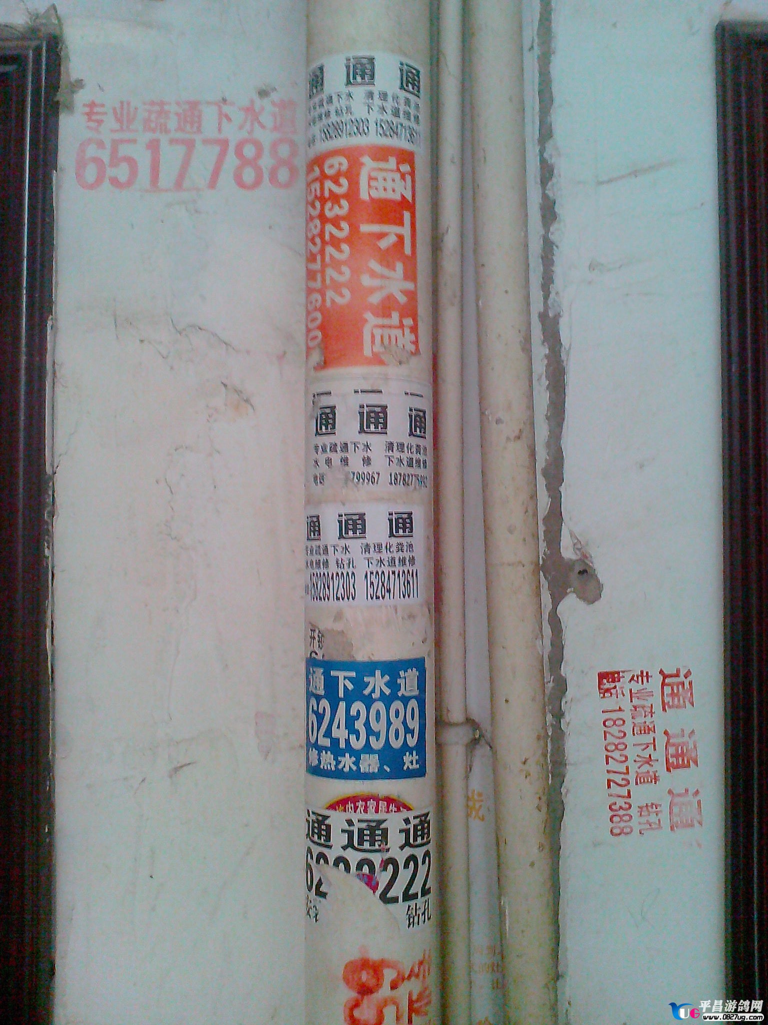 IMG20130427008.jpg