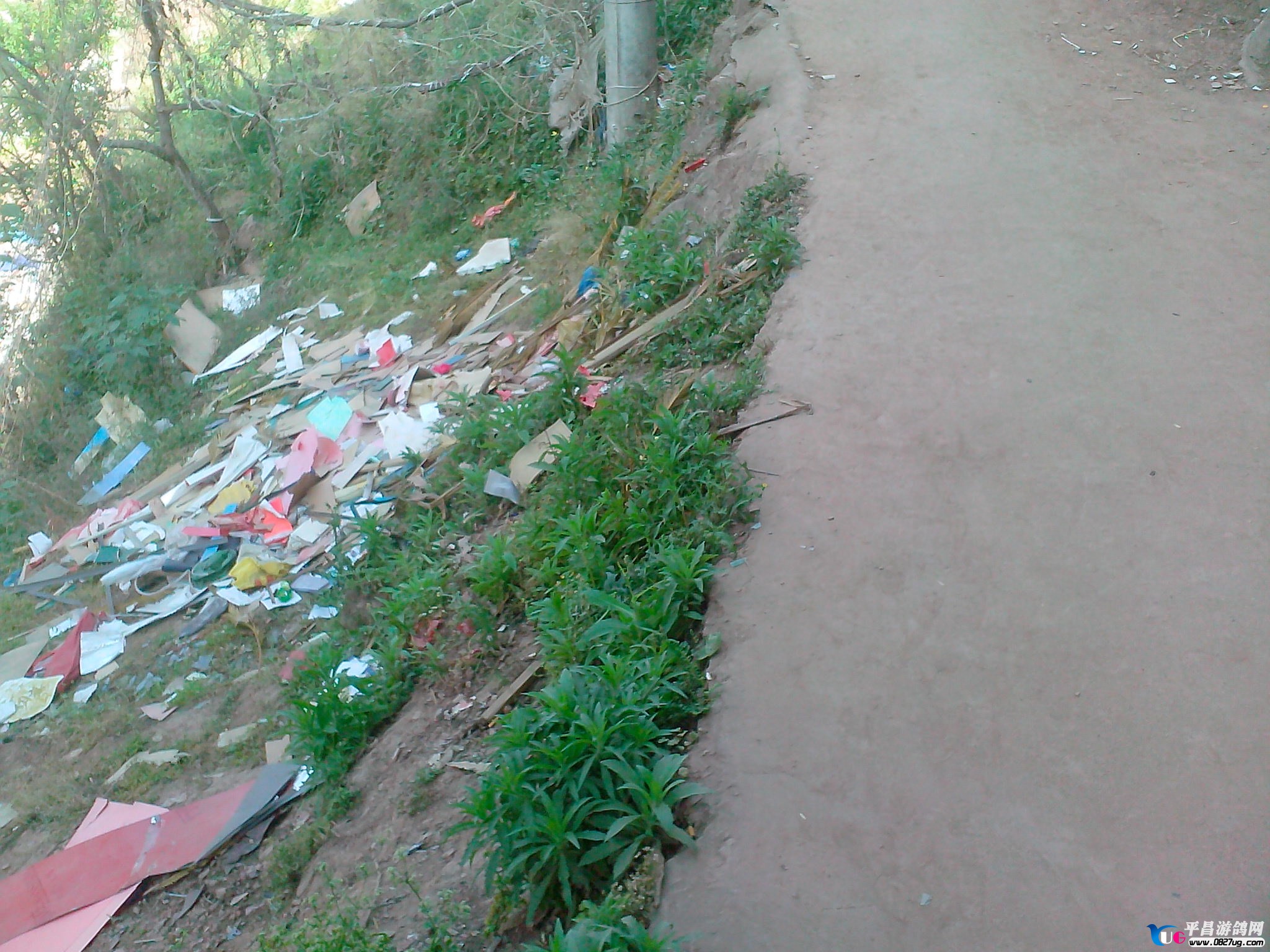 IMG20130427018.jpg