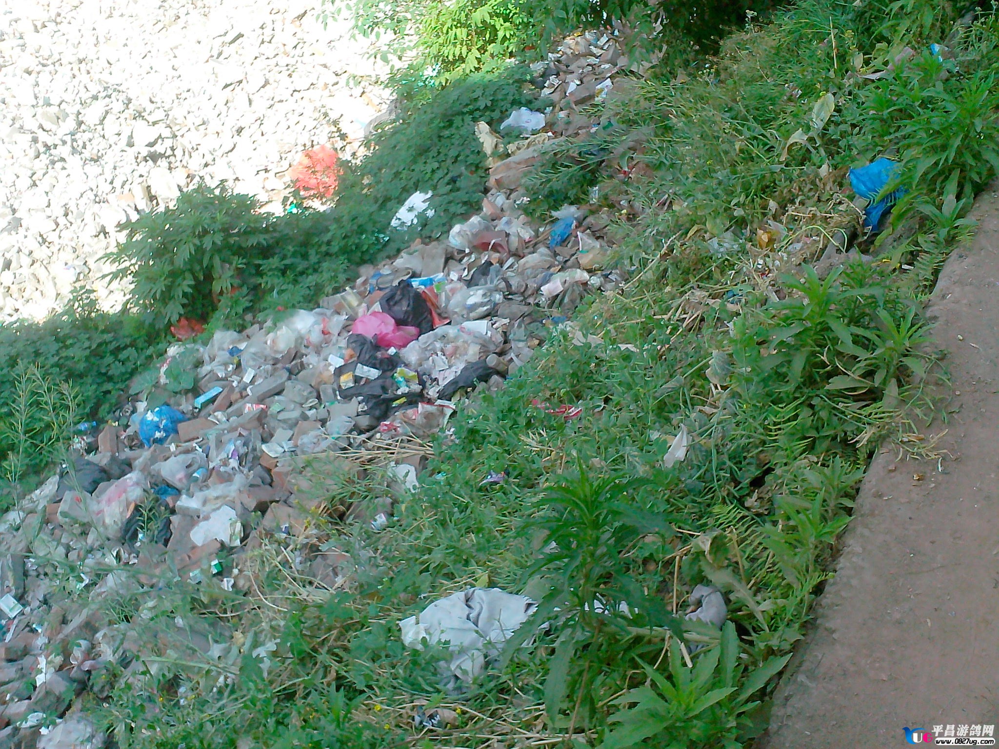 IMG20130427019.jpg