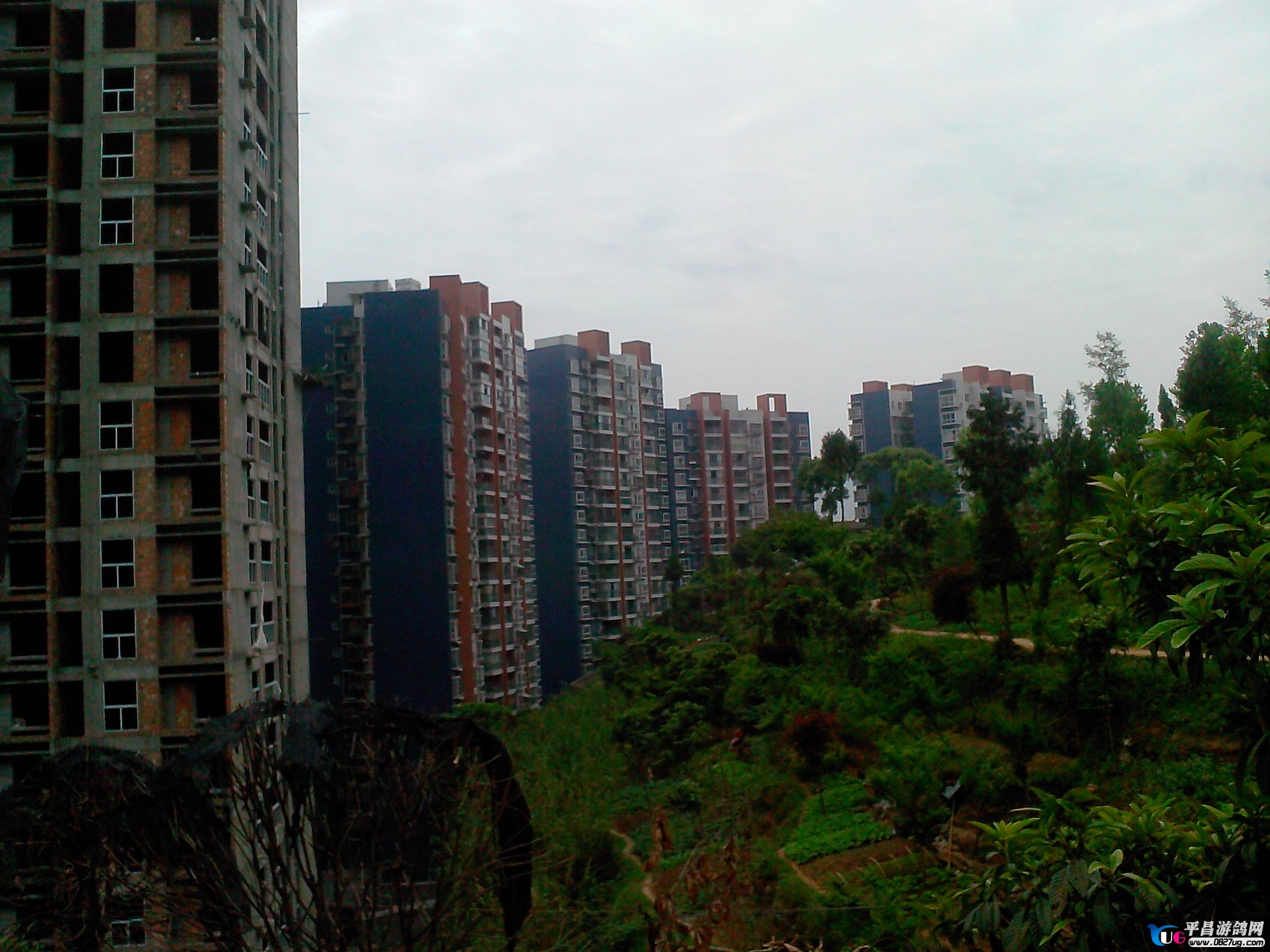 IMG20130424099.jpg