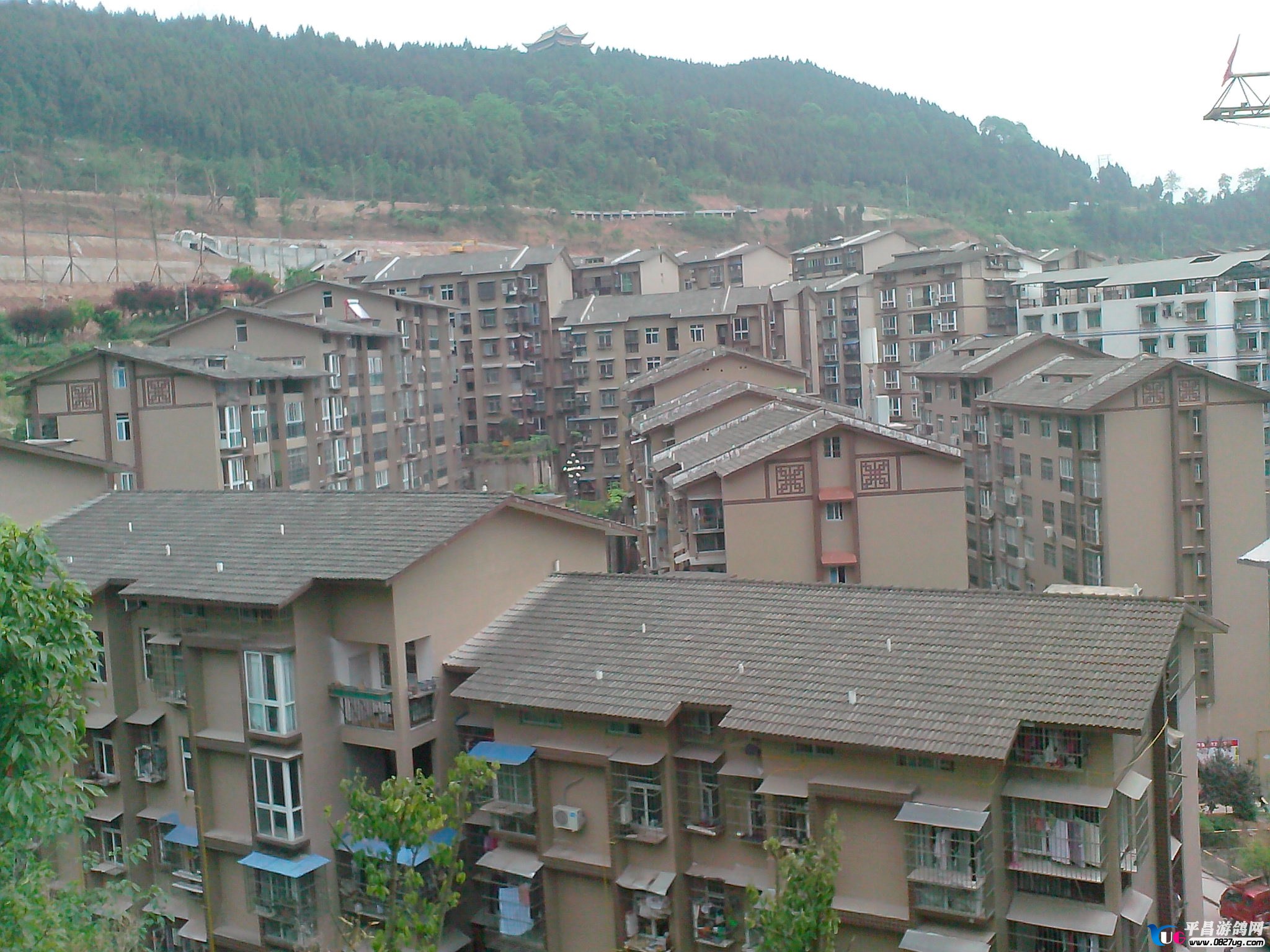 IMG20130424104.jpg