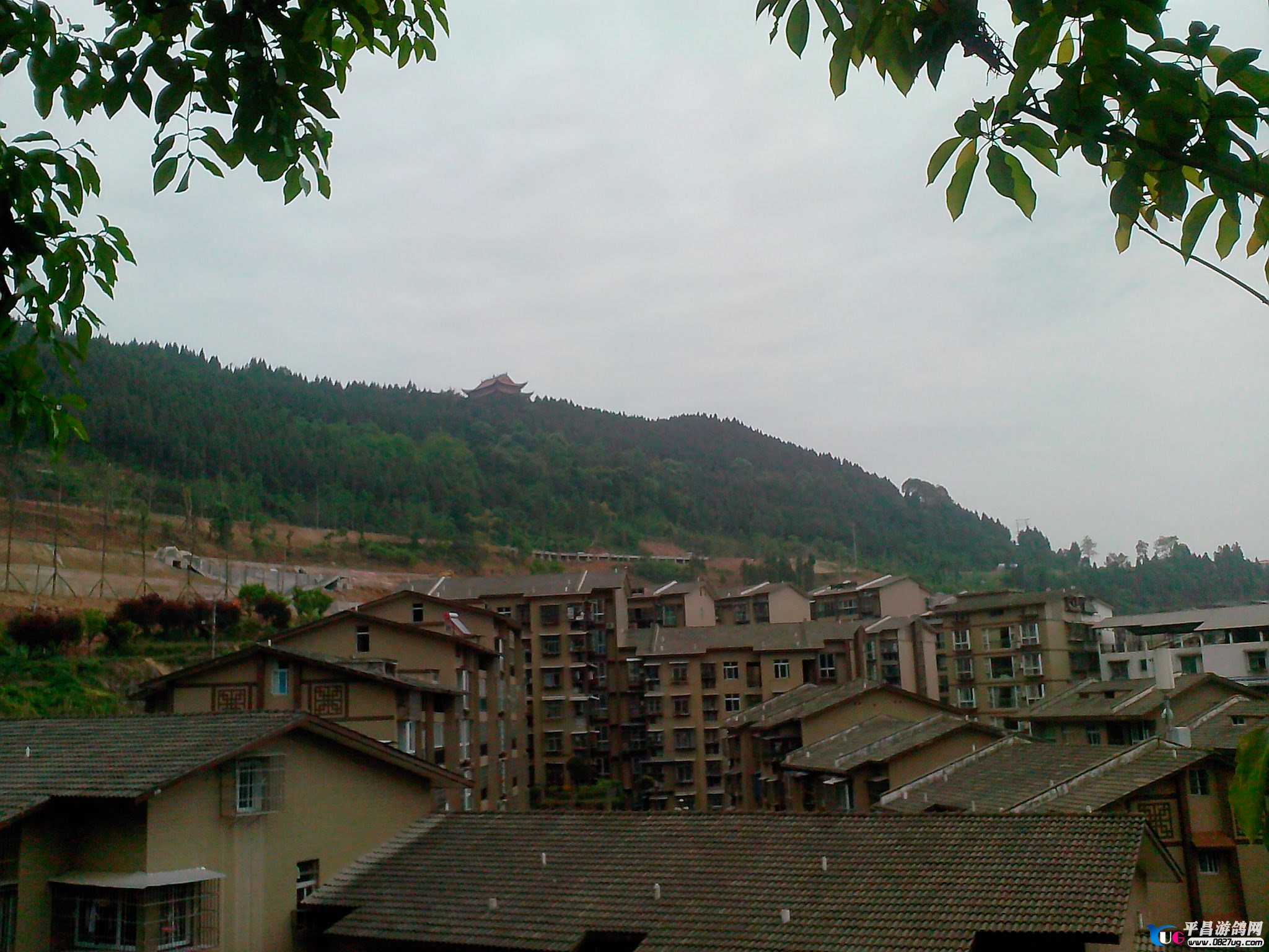 IMG20130424119.jpg