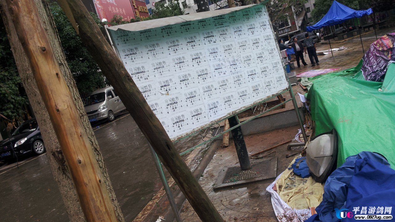 20130429_102416.jpg