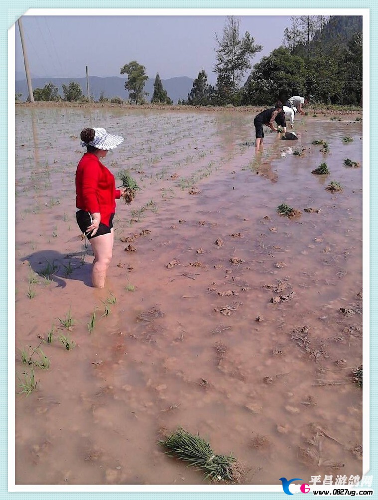 QQͼƬ20130513142801.jpg