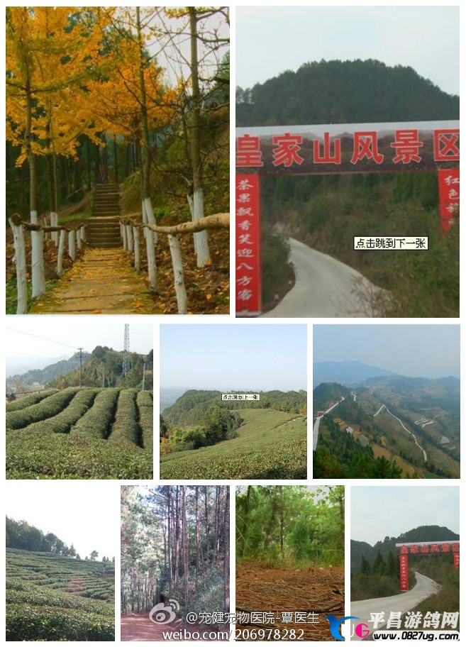 微博桌面2012_3474212363.JPG