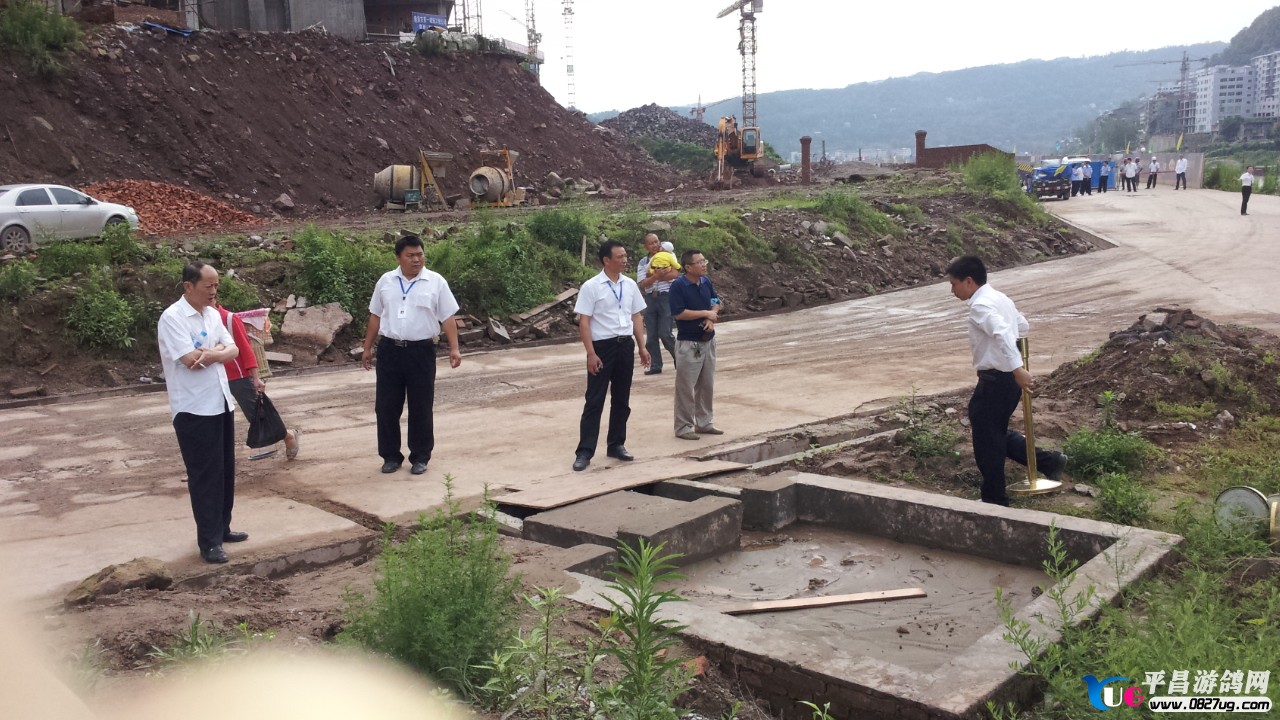 20130610_091558.jpg