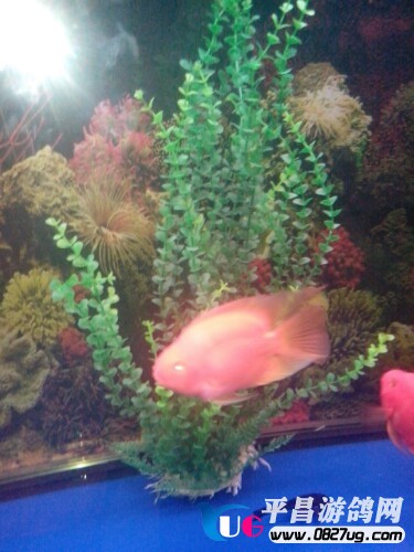 IMG20130630030142.jpg