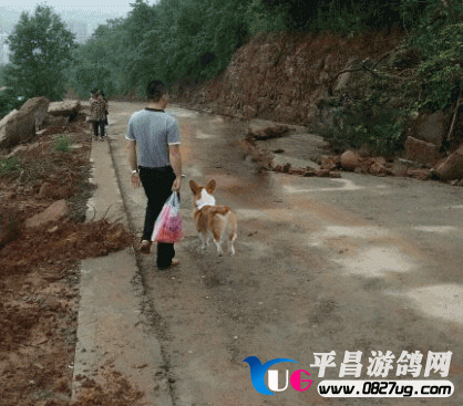 103643mooixcscsxmkkem3.gif