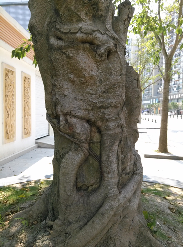 IMG_20130713_152332.jpg